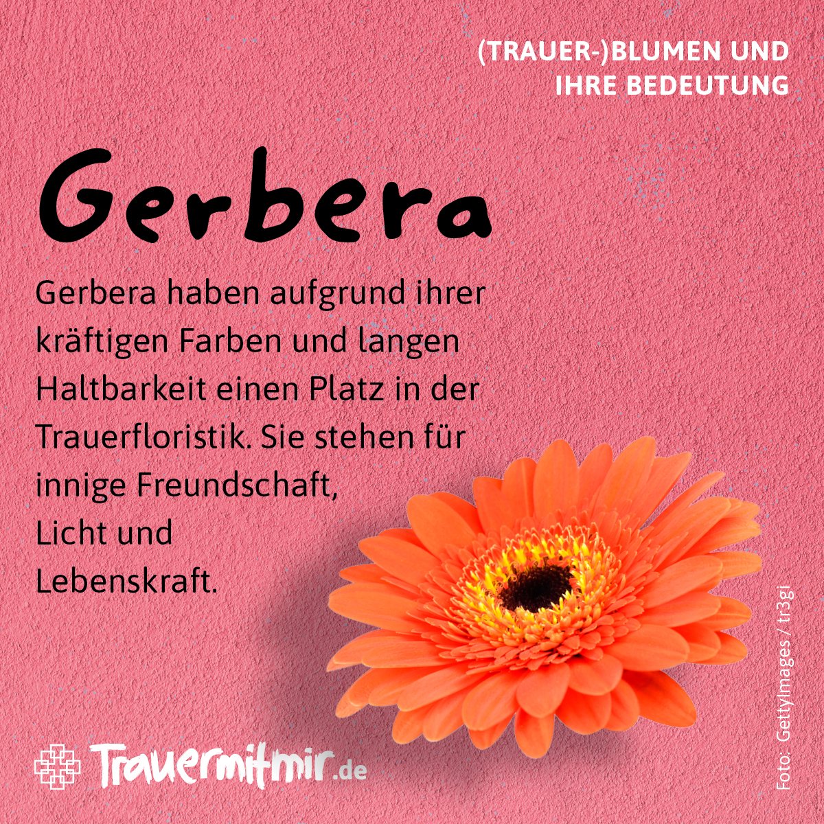 Schwägerin: Poster mit deiner Definition - Positive Prints, image size:1200x1200