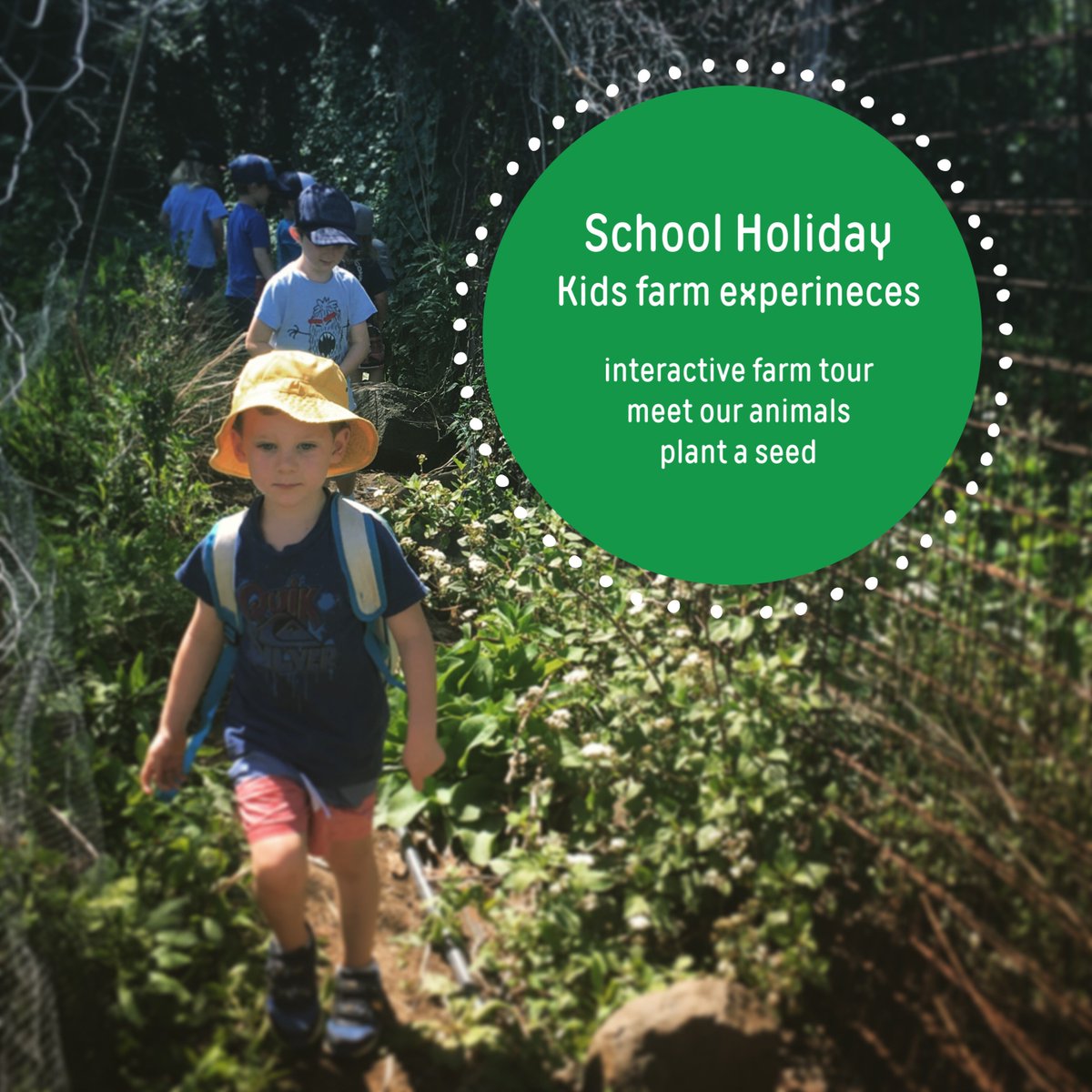 Green Connect tweet media