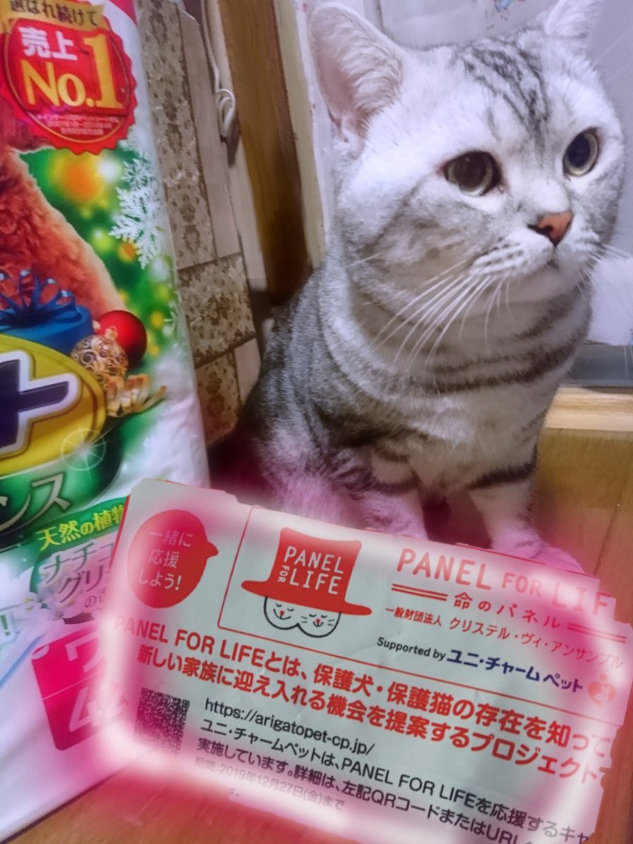 デオシート hashtag on Twitter