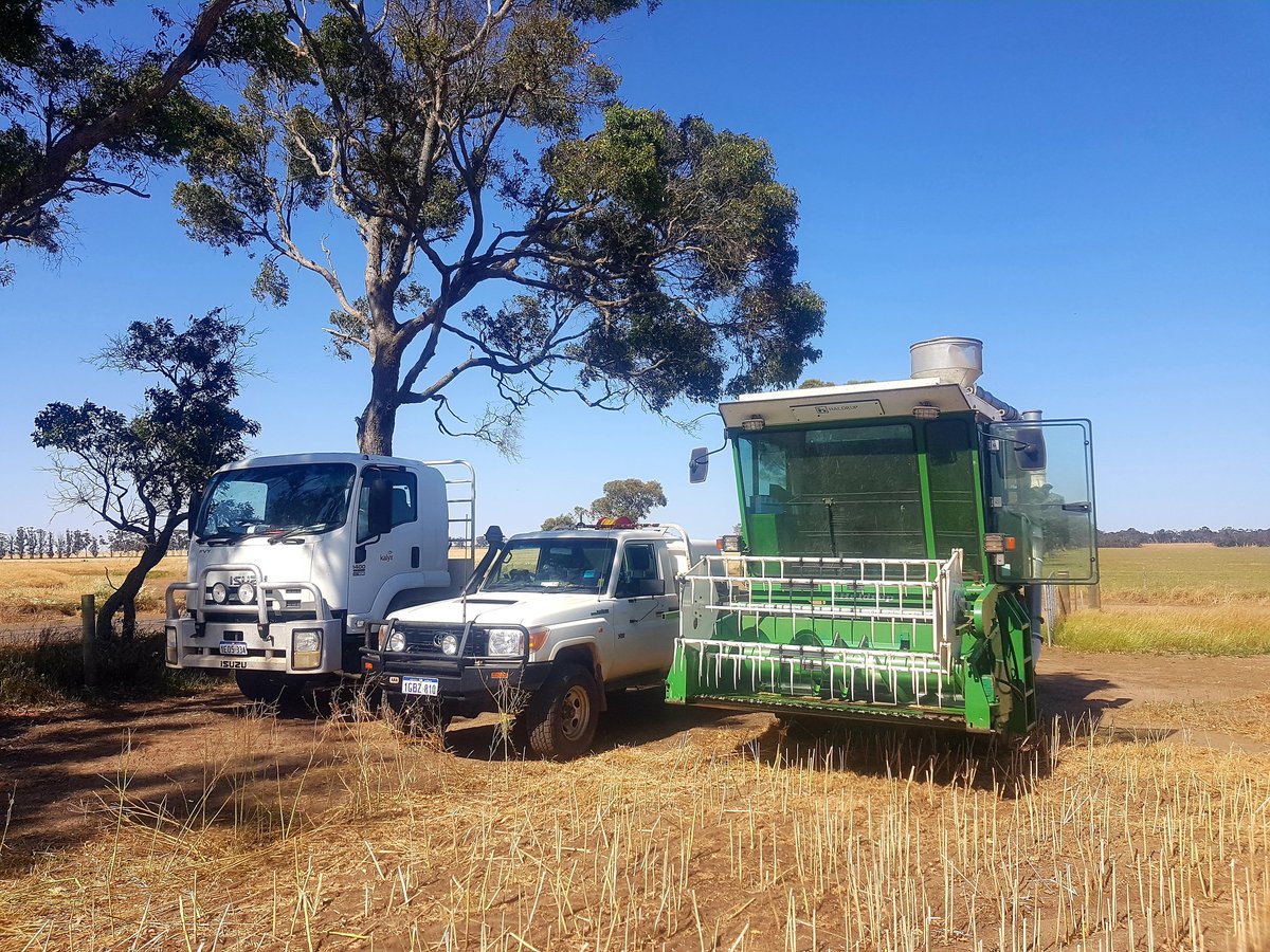 HopkinsonRohan's tweet image. 