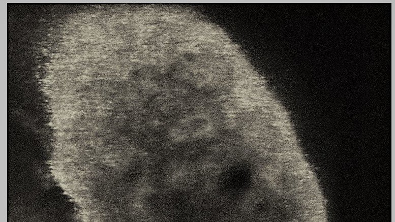 We're testing our range of #fluorophores for #Microscopy on #organoids for High Content Screening, and loving the results.  Here is a sneak peak at ReZolve-ER for #MonochromeMonday! Contact us for more info...