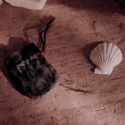 he picked the fucking seashell,, you can't change my mind  #annewithane