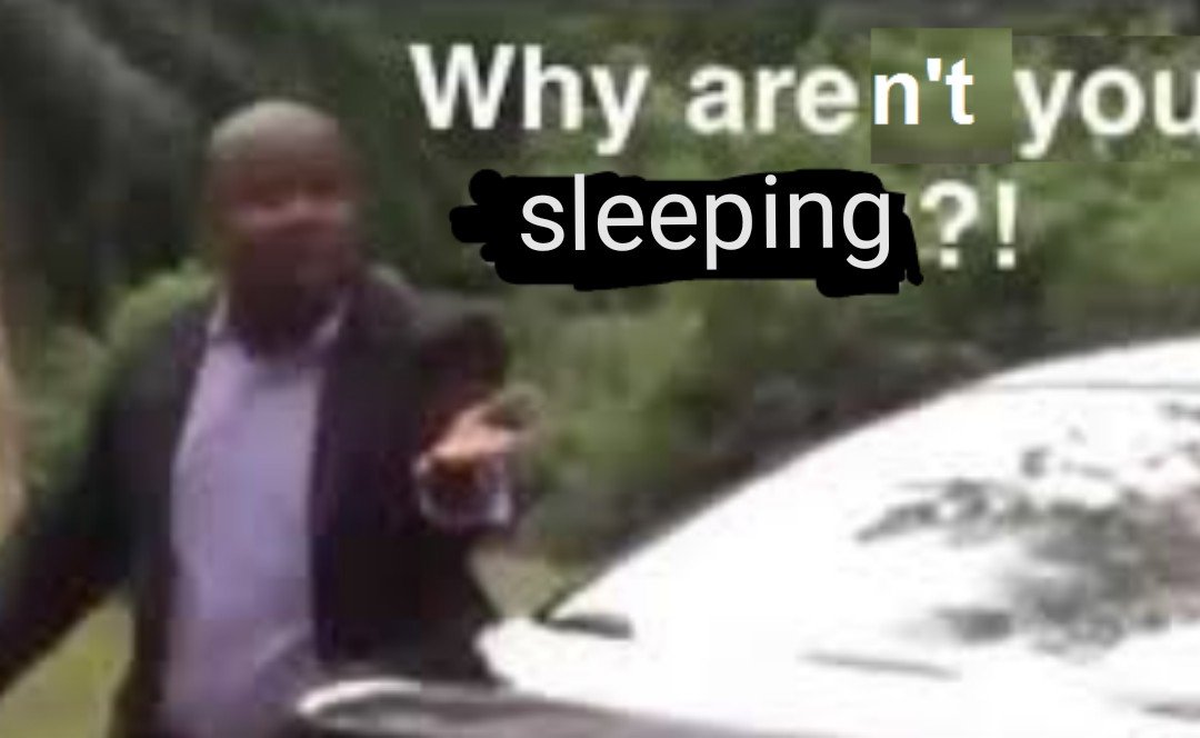 bigtimedogs's tweet photo. me @ me every single night https://t.co/A91yjRGojM