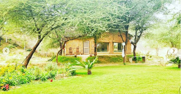 lohagarhgroup's tweet photo. Repost @the.restless_soul            
 .
 .
 I like this place and could willingly waste my time in it. #Lohagarhfortresort
 .
 .
 Enjoy Your Stay at Lohagarh Fort Resort !! 
 For more information and special offers
📞 👉🏻 +918003395964
 Visit Our Site: https://t.co/RBiaQyNKx6 https://t.co/hhHsd806YK