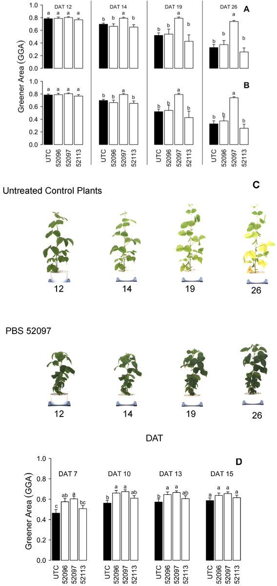 Agronomy_Mdpi's tweet photo. Investigating the Impact of #Biostimulants on the Row Crops #Corn and #Soybean Using High-Efficiency #Phenotyping and #Next #Generation #Sequencing
by Nunzio Briglia et al.
@UniBasilicata
@NsureApp
@ValagroUSA
@alsiasocial
https://t.co/ssu8LCAH61 https://t.co/FKRrcHGgi8