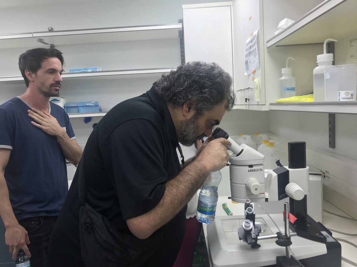 KarinaYaniv's tweet photo. Nada mejor que combinar la ciencia con el humor! Un placer recibir a @moldavskyrober en el laboratorio- espero el chiste sobre el cerebro de los peces en tu proximo show! @ZebrafishLatino @florarbiser https://t.co/axPoLYvAzF
