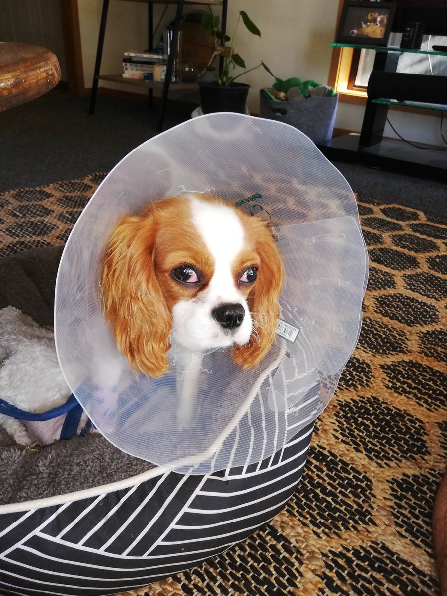 MRodd92's tweet image. "Make me look like a martini glass."
Say no more: