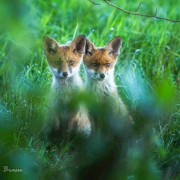 Mijn <a href="/ProvDrenthe/">Provincie Drenthe</a>, #oerprovincie van #Nederland met drie prachtige #Nationale #Parken vol verhalen en bijzondere natuur. Met oude #esdorpen en schitterende #landschappen waarin je nog kunt (ver)dwalen #mijnnatuurblijft