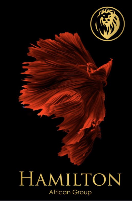 HamiltonAfrican's tweet photo. Channel all your energy into a glorious weekend with a WINNING MENTALITY !

Rise above your limits &amp; dare to change the world TODAY !

#HamiltonQuotes
#Quotes
#Motivation
#Success
#Winning
#Prosperity
#Money
#Wealth
#Power
#Energy
#Vision
#Life
#Africa
#Business
#Technology
#HAG https://t.co/C721TJ6q8H