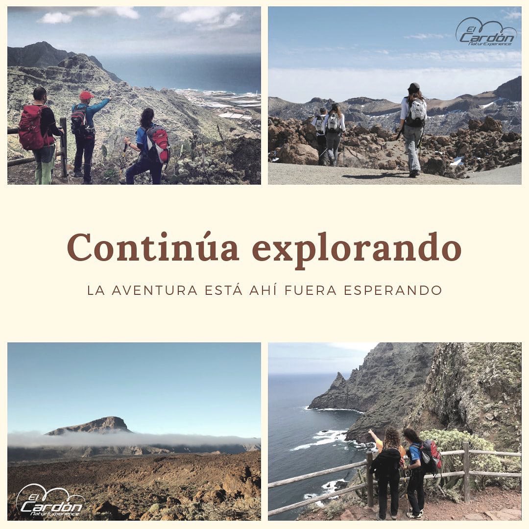 NaturExperience's tweet photo. #latitudtenerife #elcardon #naturexperience #senderismo #montaña #turismoactivo #ecoturismo #oldpeak #salewa #mountainstore #alberguedebolico #discoverteno #bolico #teno #volcanoteide #refugioaltavista #telefericoteide https://t.co/rgKFf64JQr