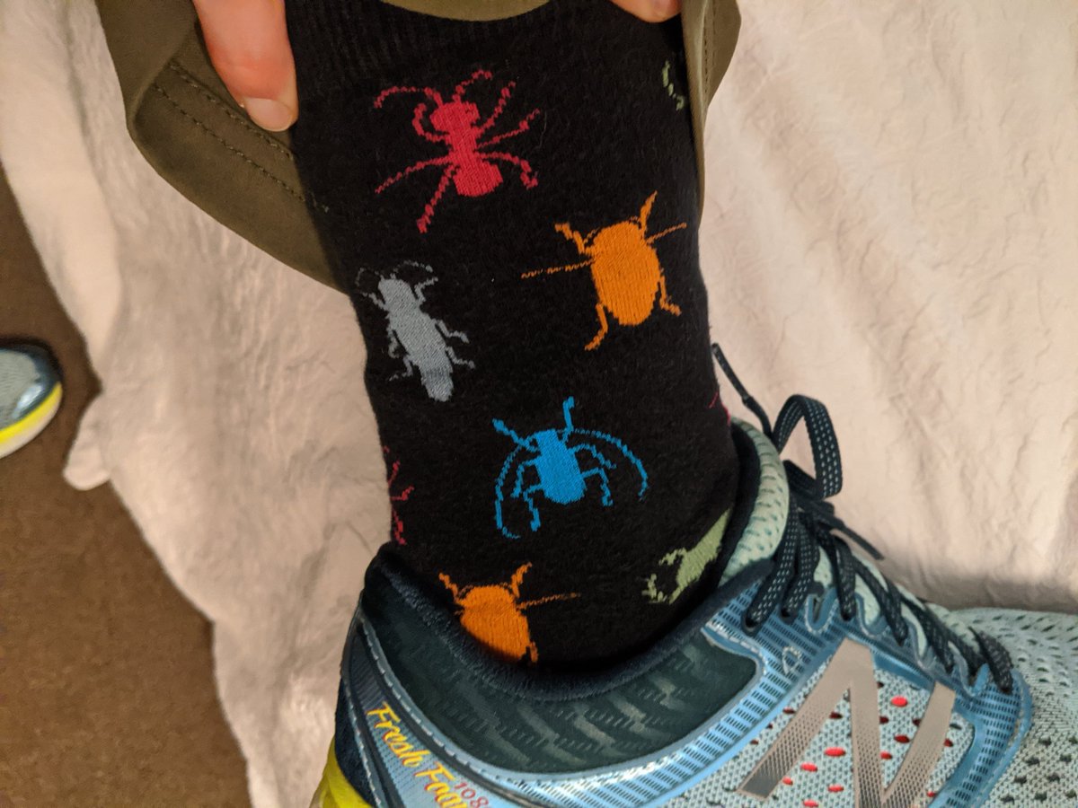 LMDiepenbrock's tweet photo. Today's #bugsocks for #EntSoc19 - the first pair of arthropod themed socks that I purchased. They're faded but I love them! https://t.co/AW6wZwSqKY