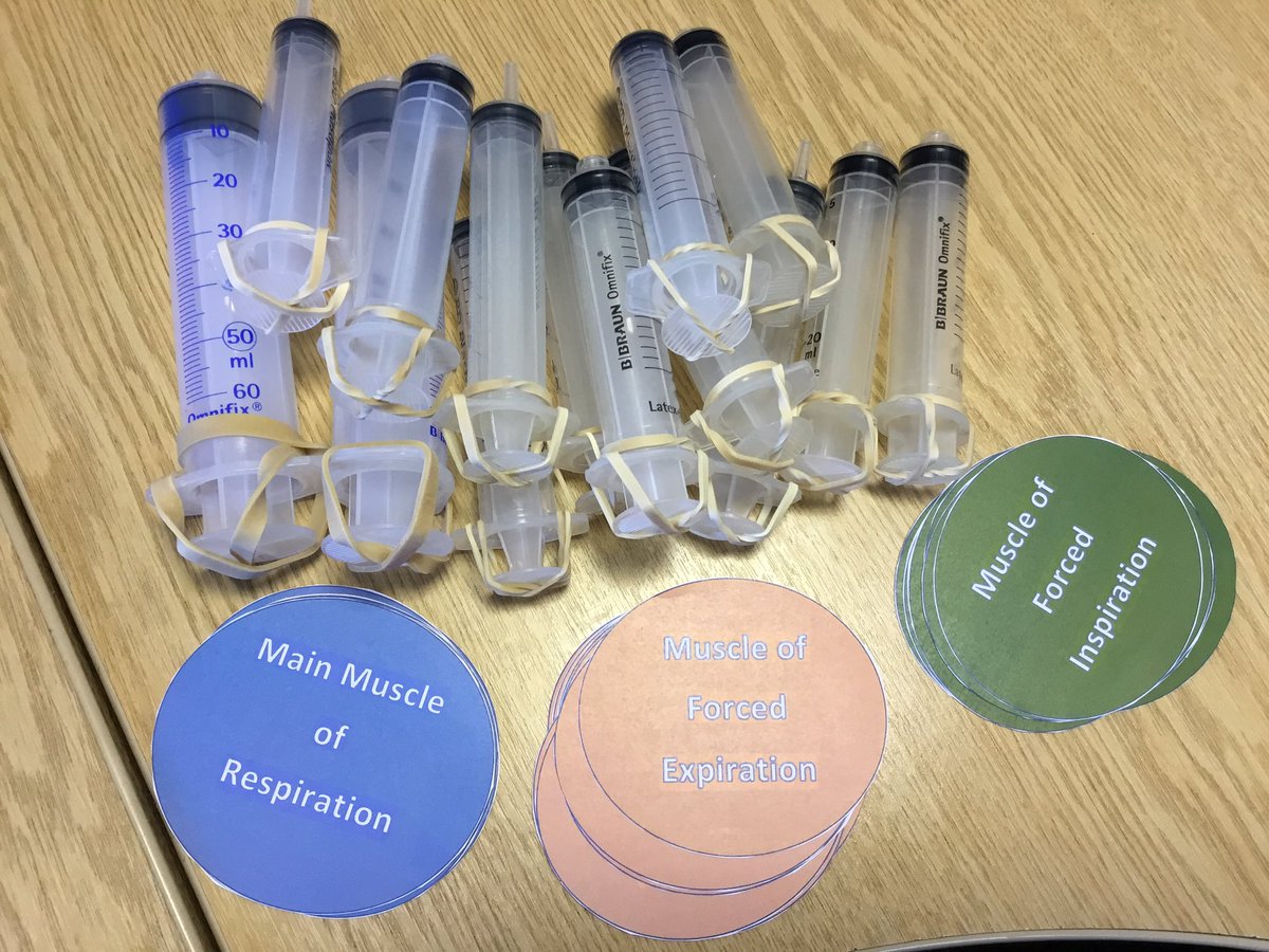 Sheric Ellum (@ellum_s) on Twitter photo Respiratory biomechanics as you have never seen them before. Looking forward to teaching the first year year physiotherapist students in the CResp 1 module. <a href="/UniHertsPhysio/">@UniHertsPhysio</a> Respiratory biomechanics as you have never seen them before. Looking forward to teaching the first year year physiotherapist students in the CResp 1 module. <a href="/UniHertsPhysio/">@UniHertsPhysio</a>