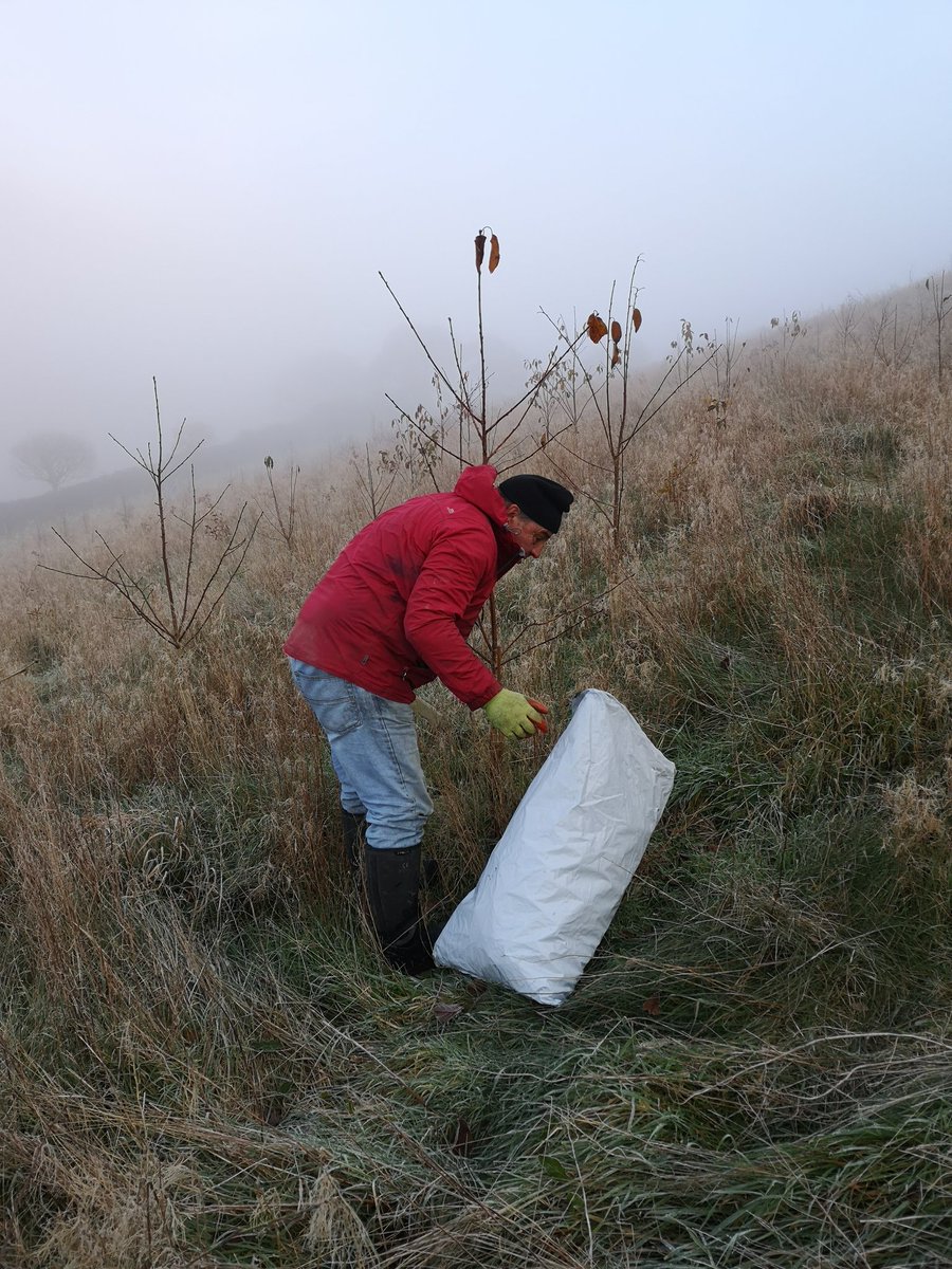 HWForestryLtd's tweet photo. Today the team are removing tree guards as part of our commitment to reducing plastic in the environment. The waste guards will be recycled. https://t.co/HqSEhA05T2