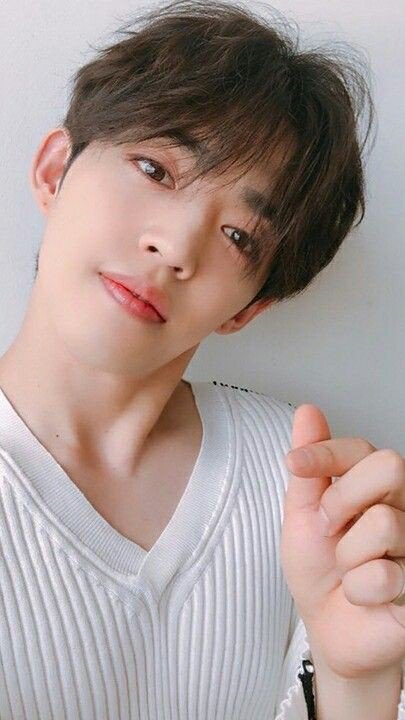 vangtiny's tweet image. vas a estar bien, vas a mejorar, por favor no te sientas culpable, sos un líder de oro, una persona maravillosa, te mereces lo mejor 

#GetWellSoonSCOUPS