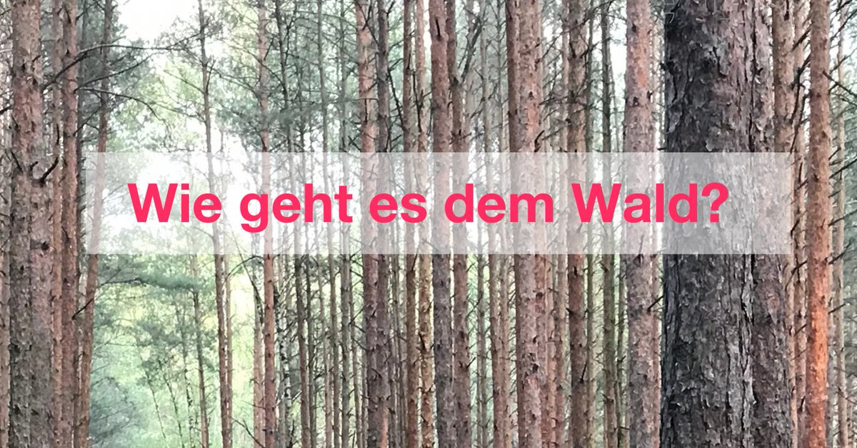 Dieser Frage gehen wir am kommenden Sonntag bei einem Herbstspaziergang mit Förster &amp; Waldbesitzer Tim Ness in der Märkischen Heide auf den Grund! Also packt euch warm ein &amp; kommt vorbei 🍁🤗🍂
Mehr Infos findet ihr unter unserem Facebook-Event -> bit.ly/35gb4PM