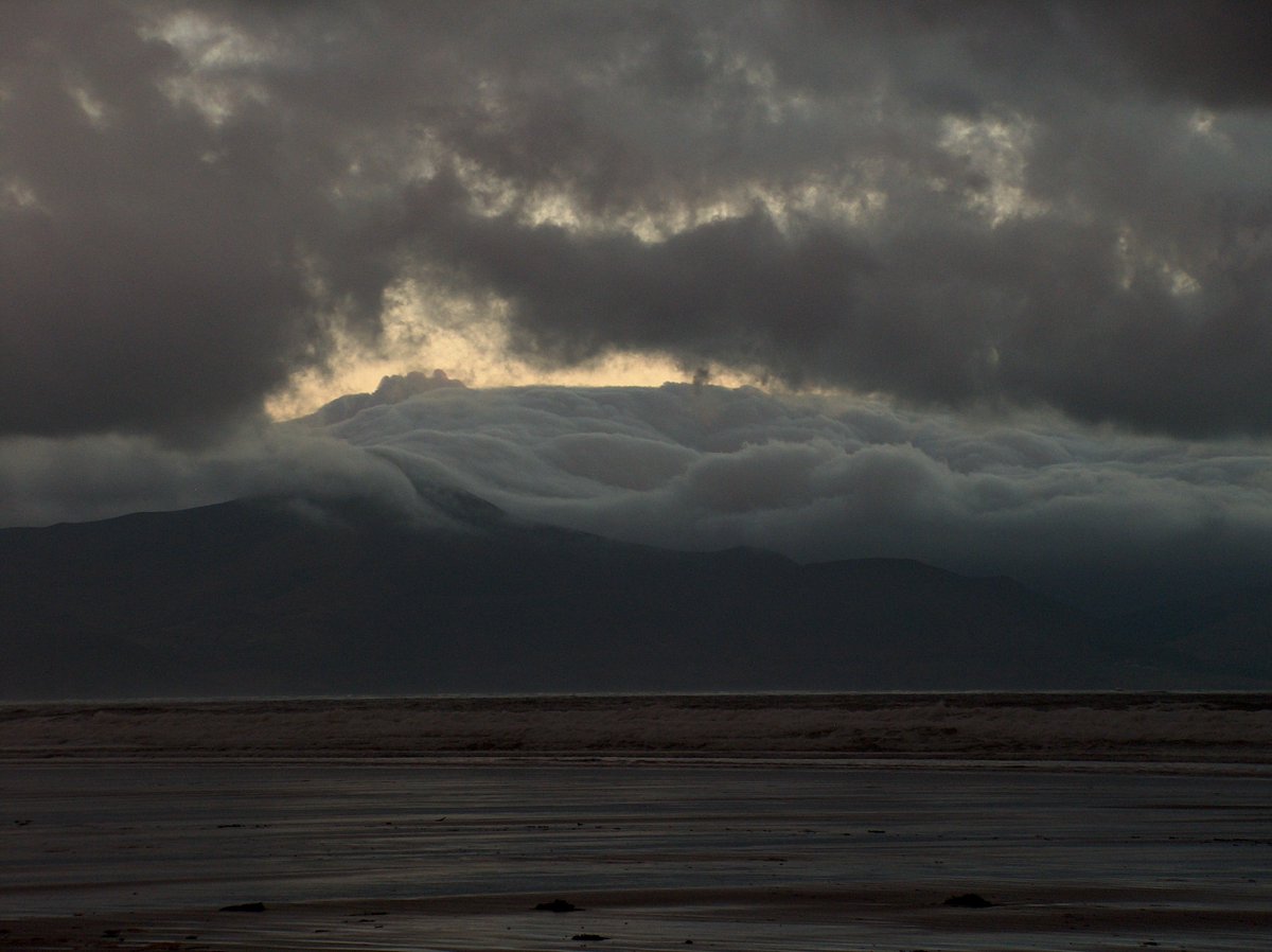 john creedon tweet media