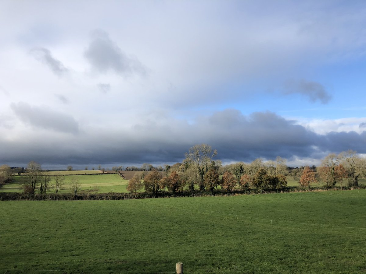HelenaCoughlan's tweet photo. Yesterday’s view from the weanling shed, lovely autumn day... pity it doesn’t show the cold 😂🥶
#autumn #fiercecold https://t.co/WF6GHpeN6n