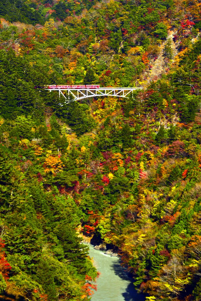 旬景 関の沢橋梁 紅葉の渓谷を走る大井川鐡道 展望台へは現在通行止め 縦構図 大井川鉄道 関の沢橋梁 渓谷 紅葉 通行止め 写真好きな人と繫がりたい 17フォト