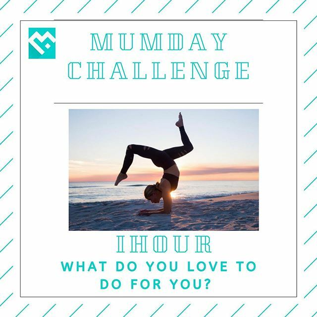 HobbiHub tweet media