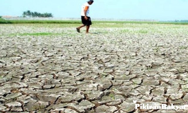 BMKG Bantah Isu Potensi Kekeringan Panjang dan El Nino pada 2020 dlvr.it/RJW3hz