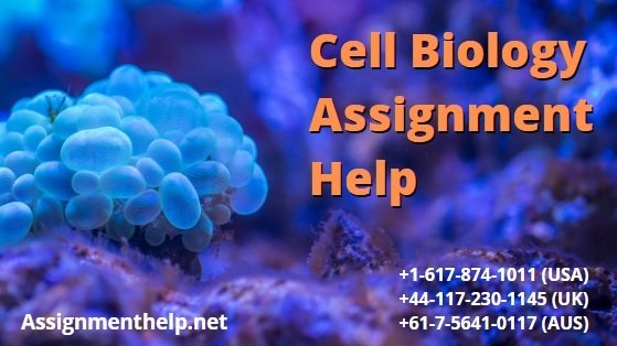 AssignmentHelpN's tweet image. Cell Biology Assignment Help
assignmenthelp.net/blog/cell-biol…
#AssignmentHelp #CellBiologyAssignmentHelp #OnlineAssignmentHelp #AllAssignmentHelp #HomeworkHelp #OnlineHelp #OnlineHomeworkHelp #StudentsHelp #DoMyAssignment #AssignmentHelpServices