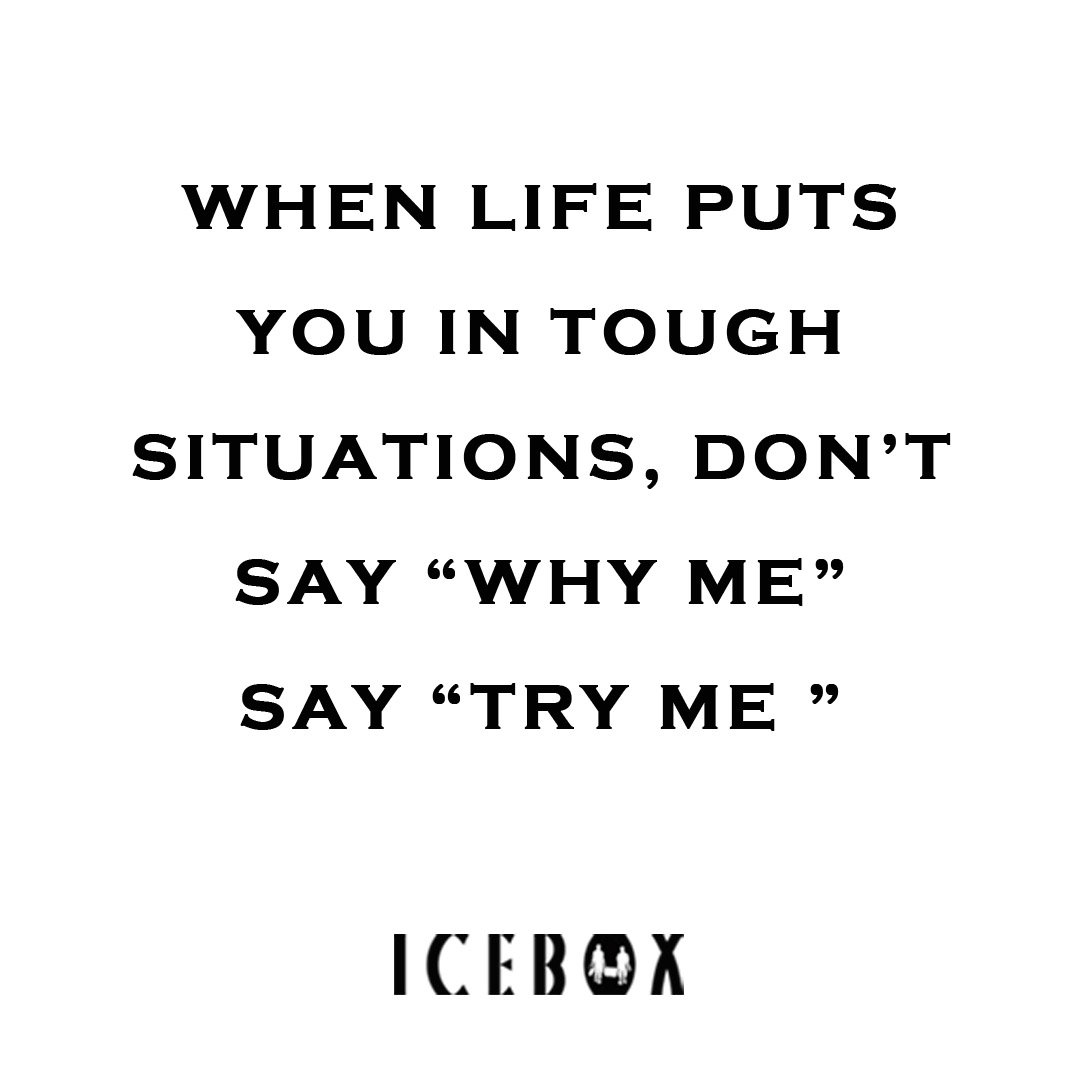 ICEBOX ENTERTAINMENT tweet media