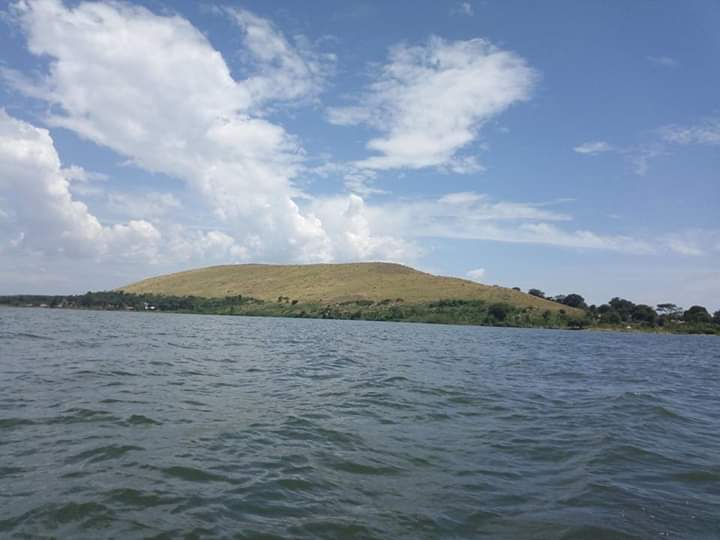 TheRealAssasn's tweet image. 29th November let's all meet at the #LingiraIslandFestival to celebrate Art and culture