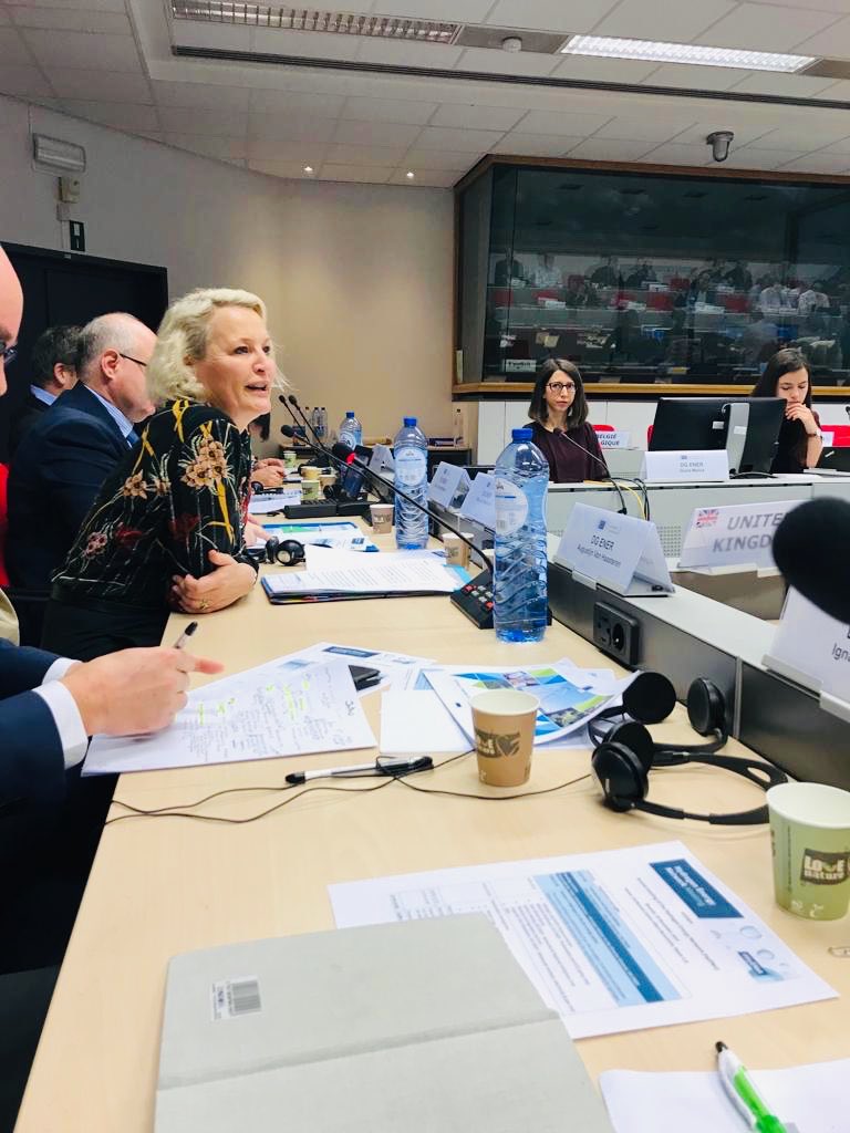 New <a href="/Energy4Europe/">Energy4Europe 🇪🇺</a> Director General <a href="/JorgensenJuul/">Ditte Juul Jorgensen</a> considers #hydrogen as a necessary additional energy carrier to become CO2 neutral by 2050 at #HyENet meeting with Member States representatives responsible for #H2. 
#HydrogenNow #EnergyTransition #DecarbEurope
