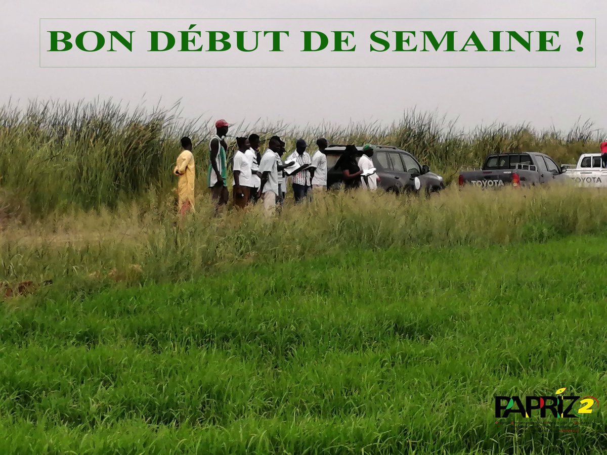 PAPRIZ2 JICA_SN tweet media