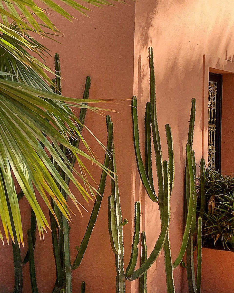 .scott thomas. tweet media