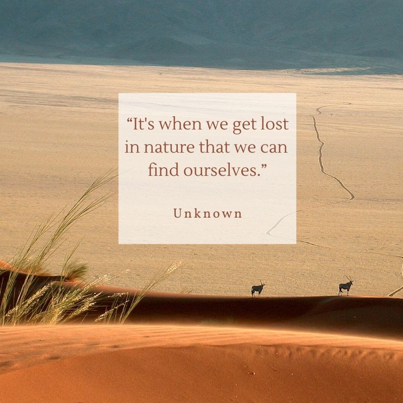 "It's when we get lost in nature that we can find ourselves." - Unknown

 #QuoteOfTheDay #Quote #Inspiration #travel #travelinspo #Namib #Desert #Wolwedans #OutOfThisWorld