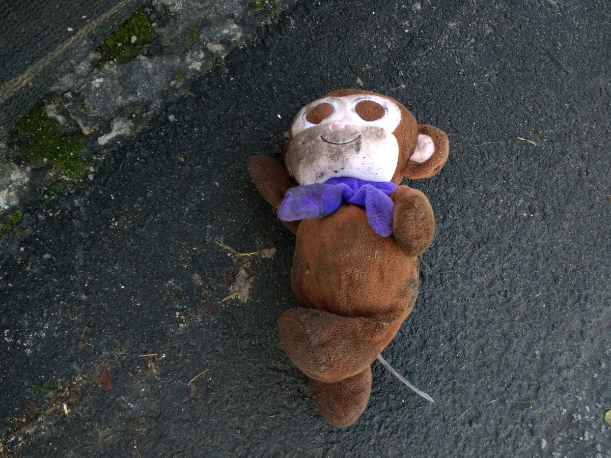 Anyone lost a monkey @lumieredurham? Seen at Mysticete (the whale projection). Let me know and I can run down to try to save him/her before the sweeper comes <a href="/artichoketrust/">Artichoke</a> #lumieredurham #cuddlytoy