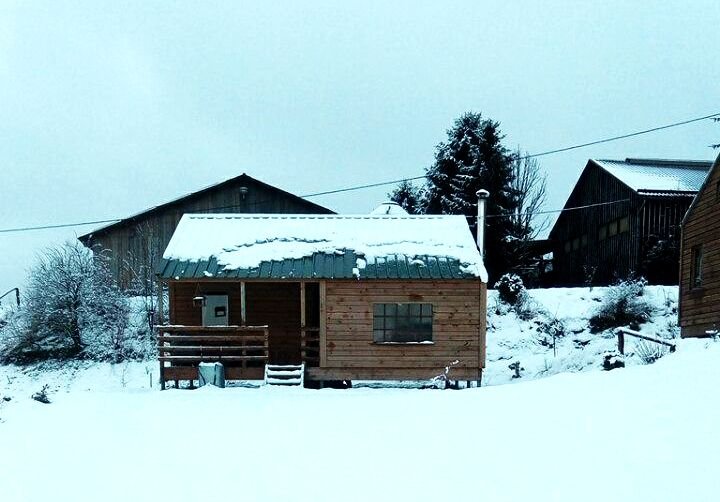 Enjoy the authentic winter scenery in one of our cosy log cabins ☃️ Book your winter cabin here 👉 bit.ly/2KtD8qz