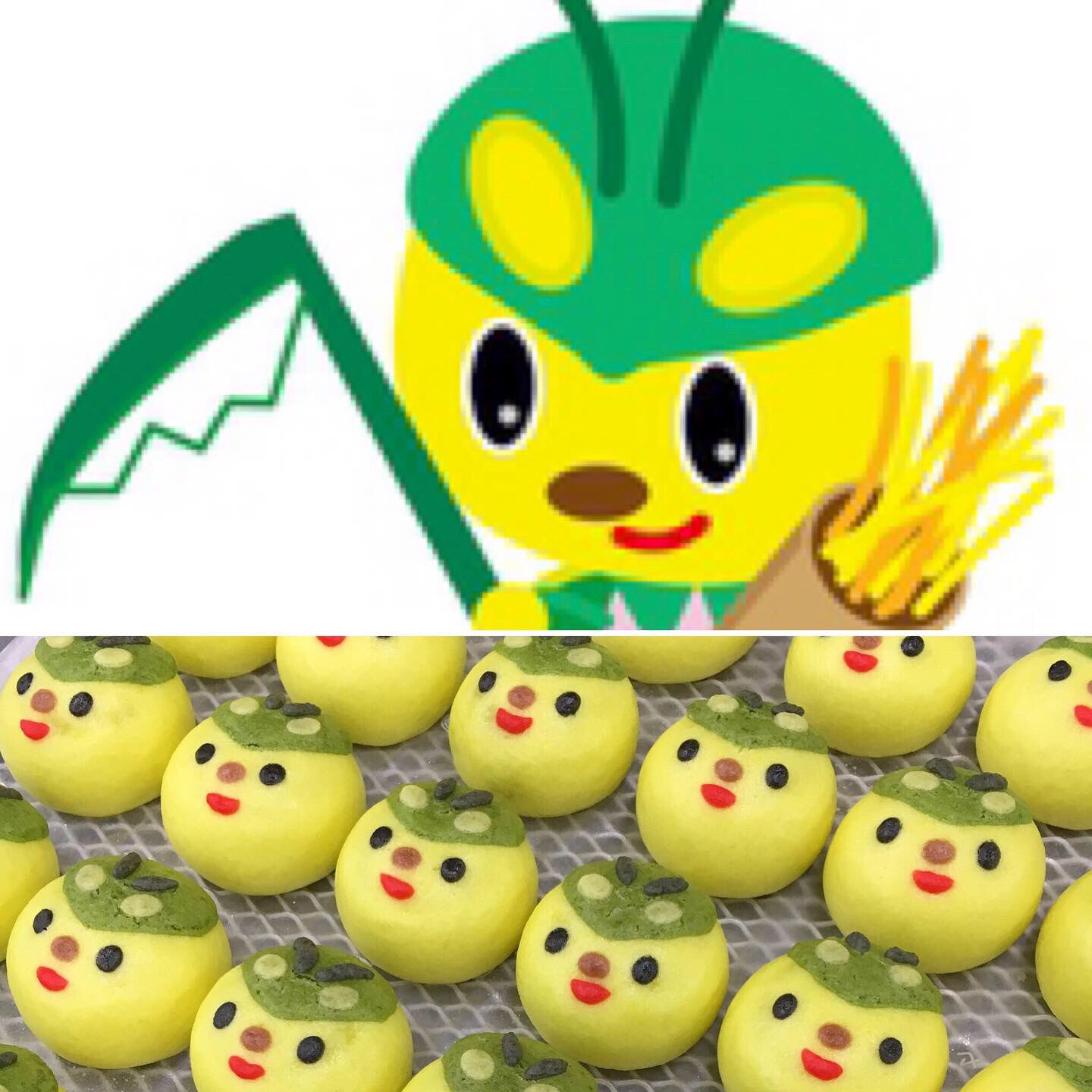 御菓子司 まんさく オリジナル饅頭のご依頼を頂きました 静岡県にある小学校のオリジナルキャラクター であるカマキリの きりりん モチーフのお饅頭です 御菓子司まんさく オリジナル饅頭 キャラクター饅頭 T Co 6vszgkviwt Twitter