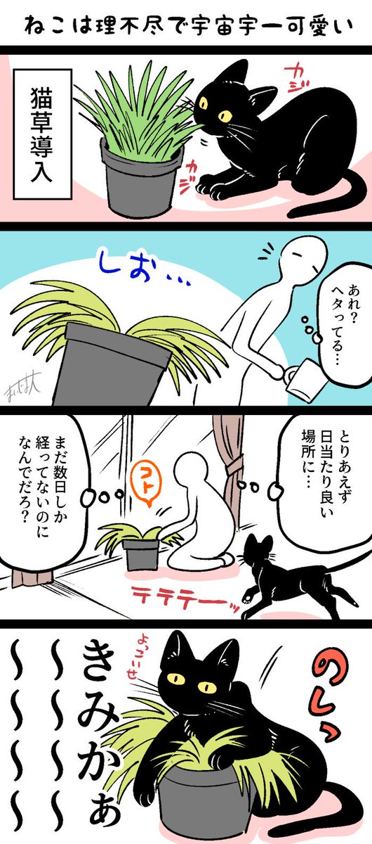 ねこは理不尽だけど叱れない
#宇宙一可愛いねこ 