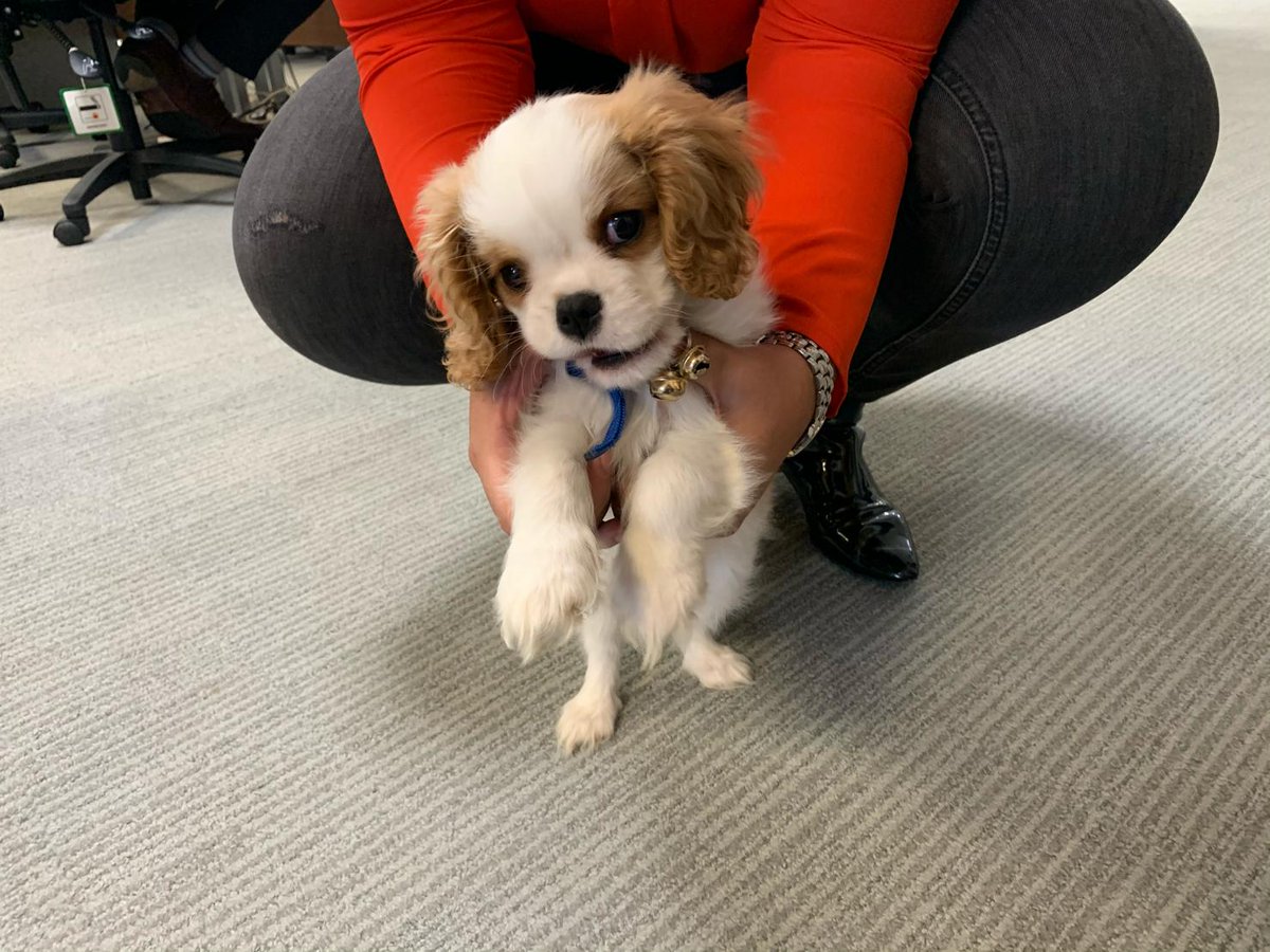 AC Tours UK tweet media