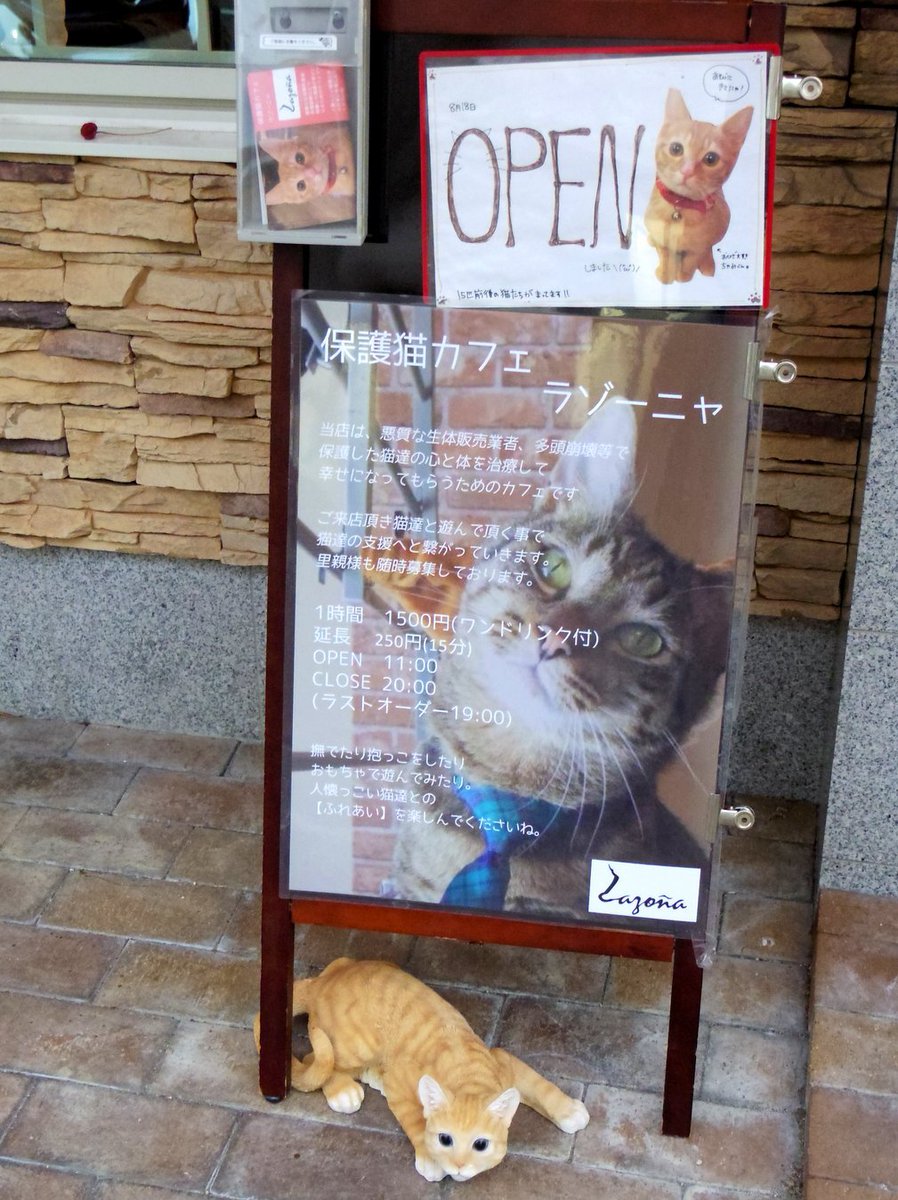 ひららうさお Pa Twitter ねこカフェというものに初めて行って来ました 近場にできて前から気になっていた西宮北口の保護猫カフェ ラゾーニャ さん ねこ同士くっつき合って熟睡する いわゆる猫団子 は本当にあった わが家の猫たちにはあり得なかったので眼福 ひららうさお Pa Twitter ねこカフェというものに初めて行って来ました 近場にできて前から気になっていた西宮北口の保護猫カフェ ラゾーニャ さん ねこ同士くっつき合って熟睡する いわゆる猫団子 は本当にあった わが家の猫たちにはあり得なかったので眼福