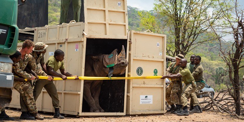 GILTEDGE tweet media