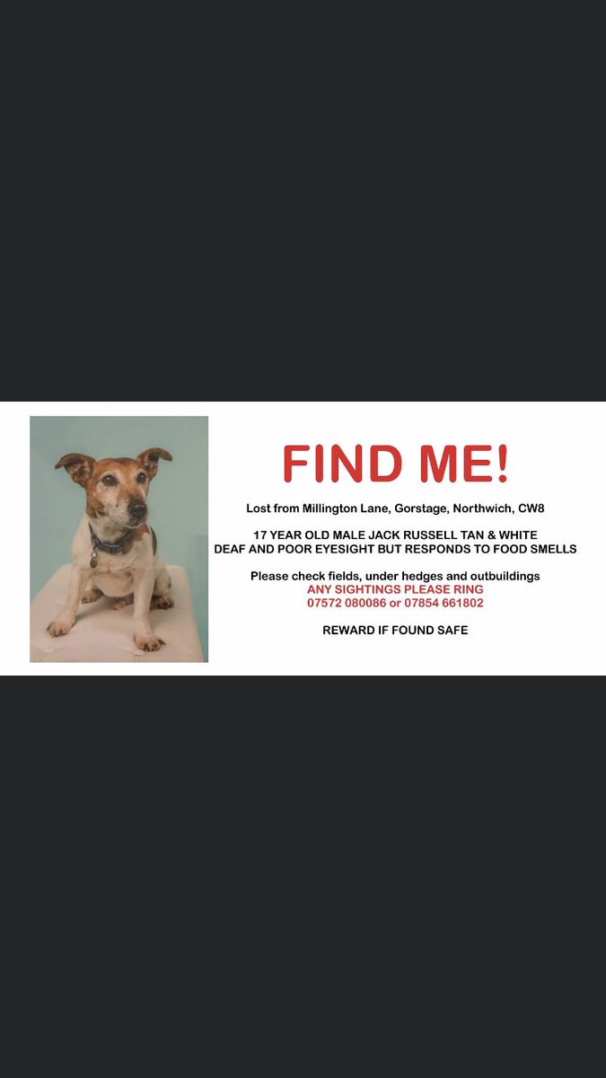 RachaelB100's tweet image. Pls RT #Missing 
Elderly #JRT Winston 
15/11/19 From Willington Lane #Gorstage #Northwich, #Cheshire #CW8
🚨 17 years Old 🚨
🚨DEAF &amp;amp; POOR EYESIGHT 🚨
facebook.com/groups/4681150…

doglost.co.uk/dog-blog.php?d…
