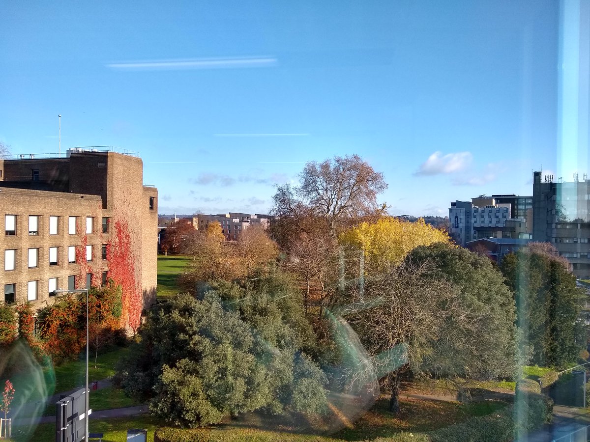 Lantern_MaidenH's tweet photo. This view from @Lantern_MaidenH 3rd Floor 👌🍁☀️ #Maidenhead #Autumn #DesigningViews #MondayMotivation @MakeMaidenhead @TValleyChamber @LSHtweets @Savills @knightfrank https://t.co/fpIZyLaT7c