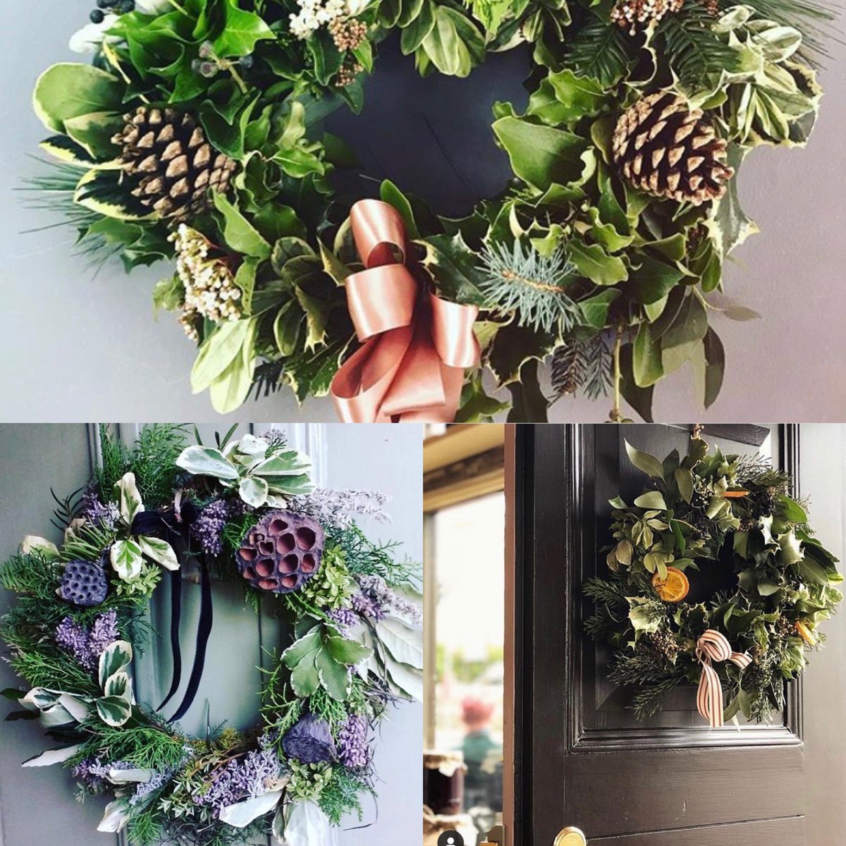 Forage and bloom tweet media