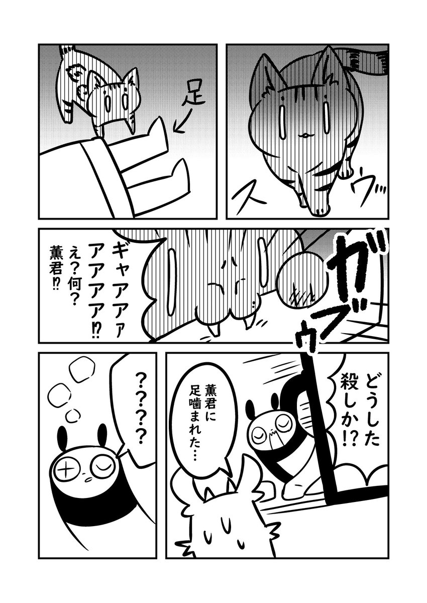 猫漫画 知らない人に対して猫が試しに一口噛んでみるって行為をする #ぬら次郎日記 