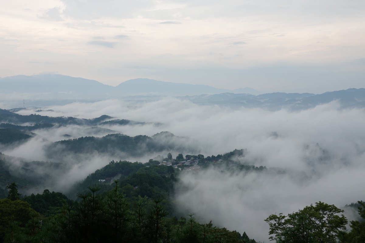 keyall's tweet image. 吉野山の四季。