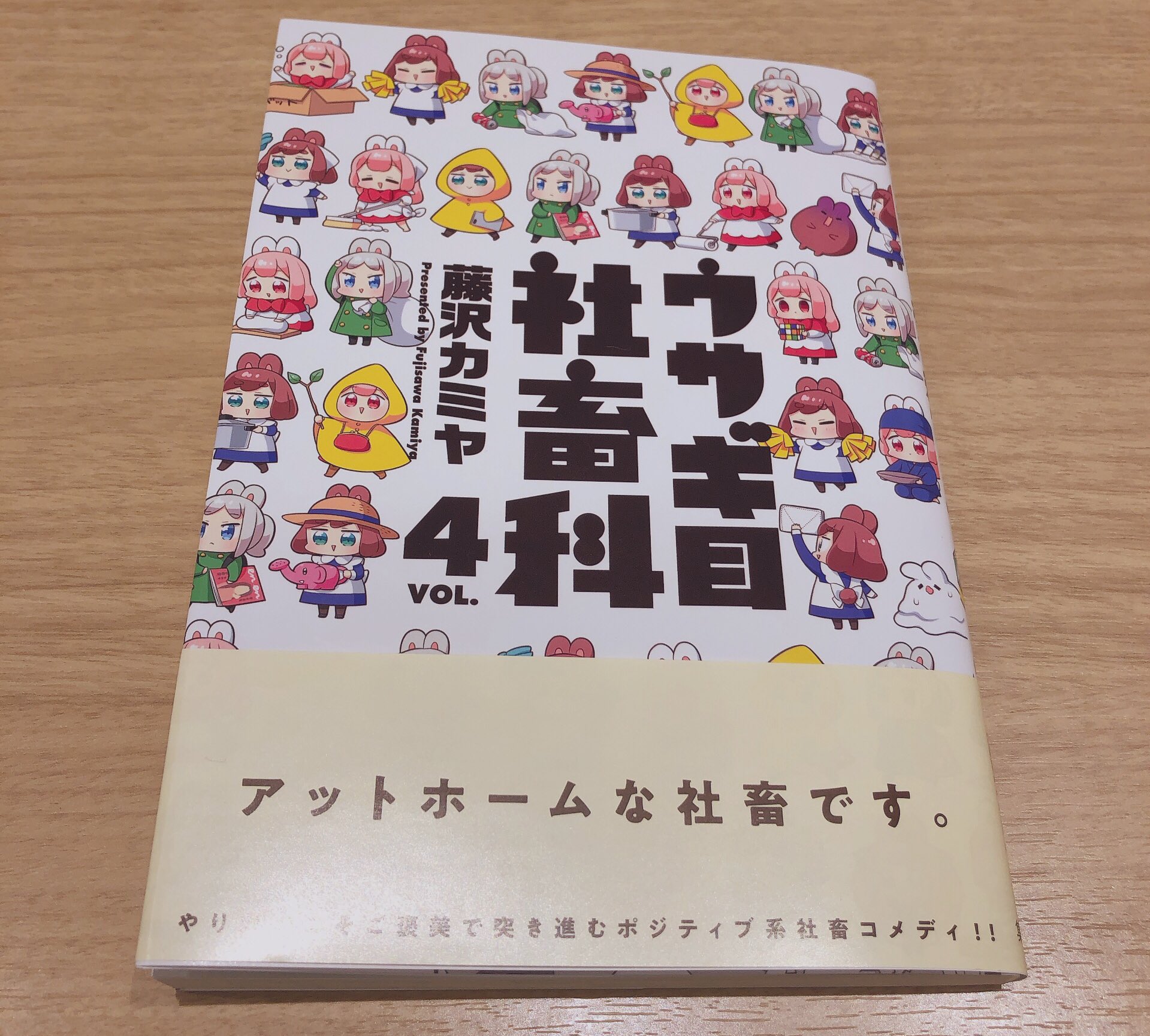 文鎮は定規を押さえる カササギが梅にのぼる 書道の小さい文鎮は定規を押しますM 文鎮は定規を押さえる カササギが梅にのぼる 書道の小さい文鎮は