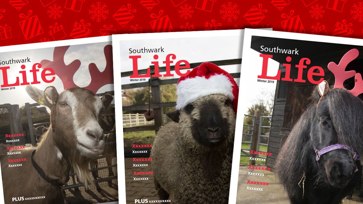 lb_southwark's tweet photo. Who should grace the cover of the Winter edition of Southwark Life? Three residents of @surreydocksfarm have had their picture taken, but only one can be a star! Vote in the next tweet... https://t.co/gxrdi9TBGp