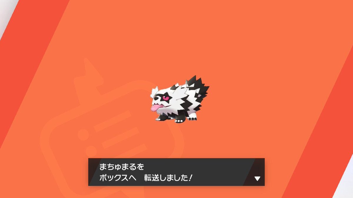 松丸 亮吾 一番好きなポケモンがジグザグマなんだけど それを知ってる友達やフォロワーさんから 捕まえたから名前まちゅまるにしたよ って連絡きてて笑ってる うれしい でも送られてきた写真がことごとくボックスに転送してる瞬間で切ねえ 松丸 亮吾 一番好きなポケモンがジグザグマなんだけど それを知ってる友達やフォロワーさんから 捕まえたから名前まちゅまるにしたよ って連絡きてて笑ってる うれしい でも送られてきた写真がことごとくボックスに転送してる瞬間で切ねえ