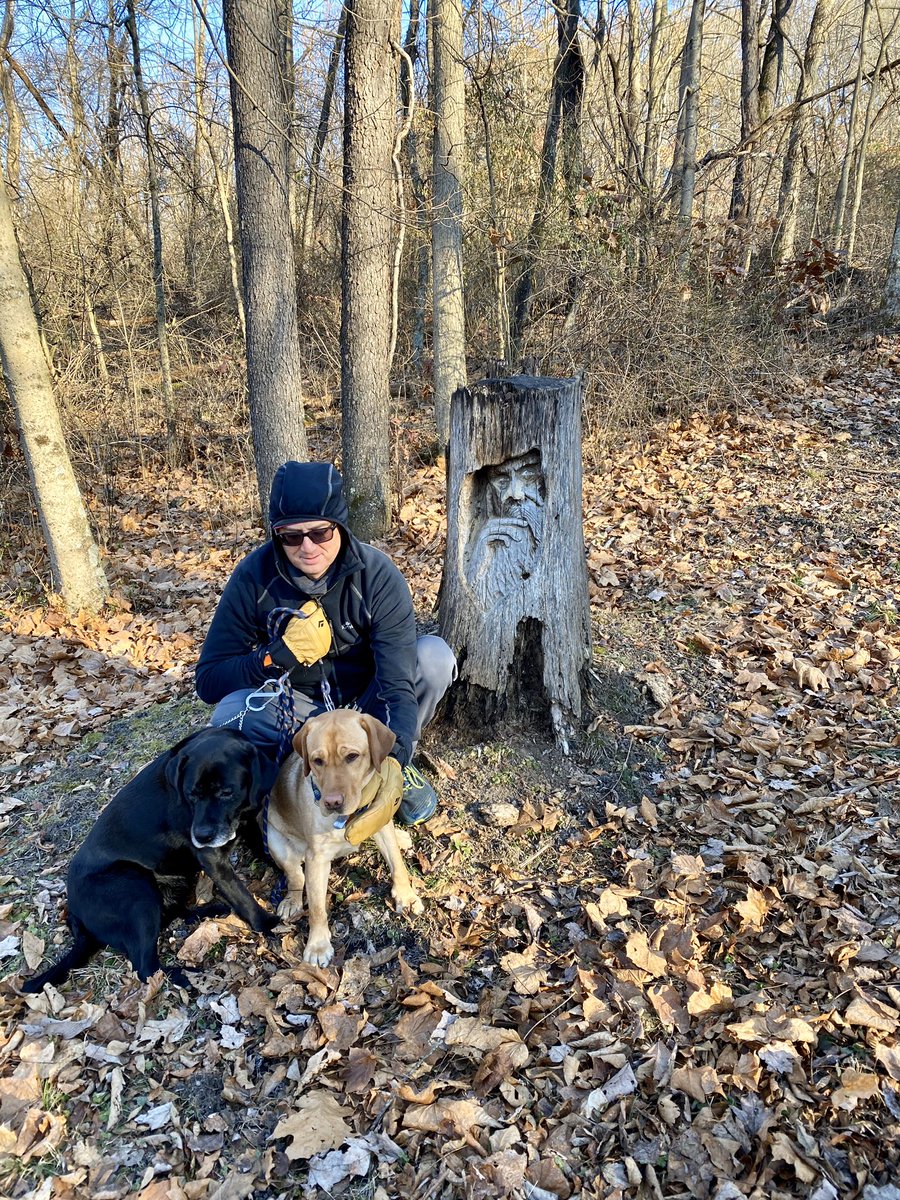FitLabDeepCreek's tweet photo. #MondayMorning #movement tip from #FitLabPGH #podcast (link below): have fun making movement part of your lifestyle & your dog’s lifestyle!
#virtual5k #k9conditioning #pghdogs #MoveMore #labradors #dogsthathike
https://t.co/u26Uux51D8 https://t.co/lNgkMks2gt
