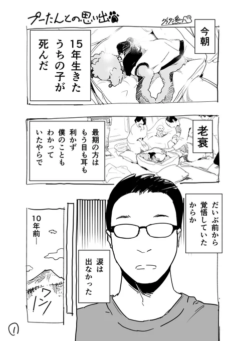 うちのプーたんが亡くなったので思い出を描きました。
ありがとプーたん。 
