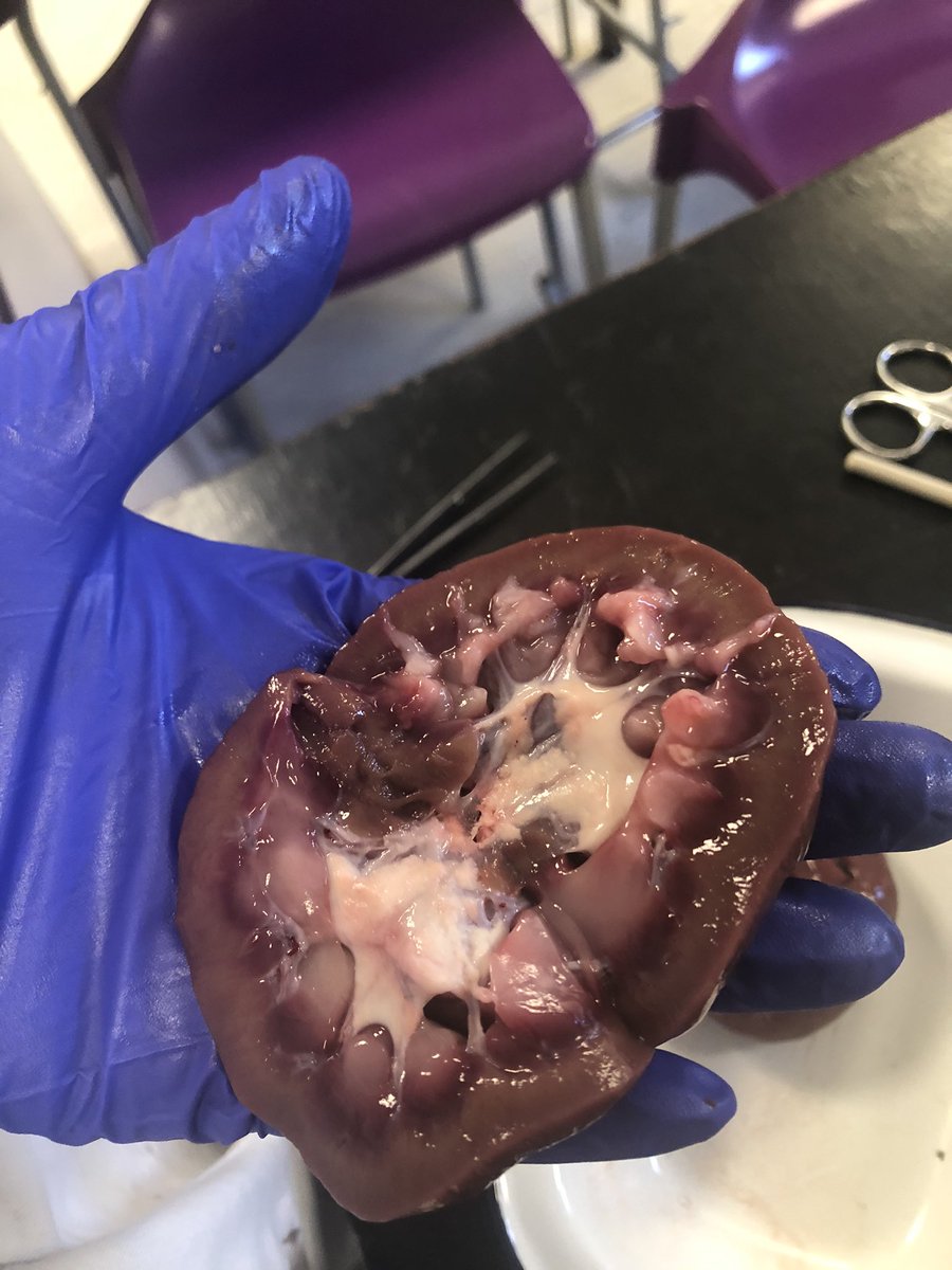 Amersham Science tweet media