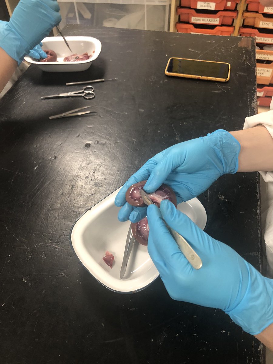 Amersham Science tweet media